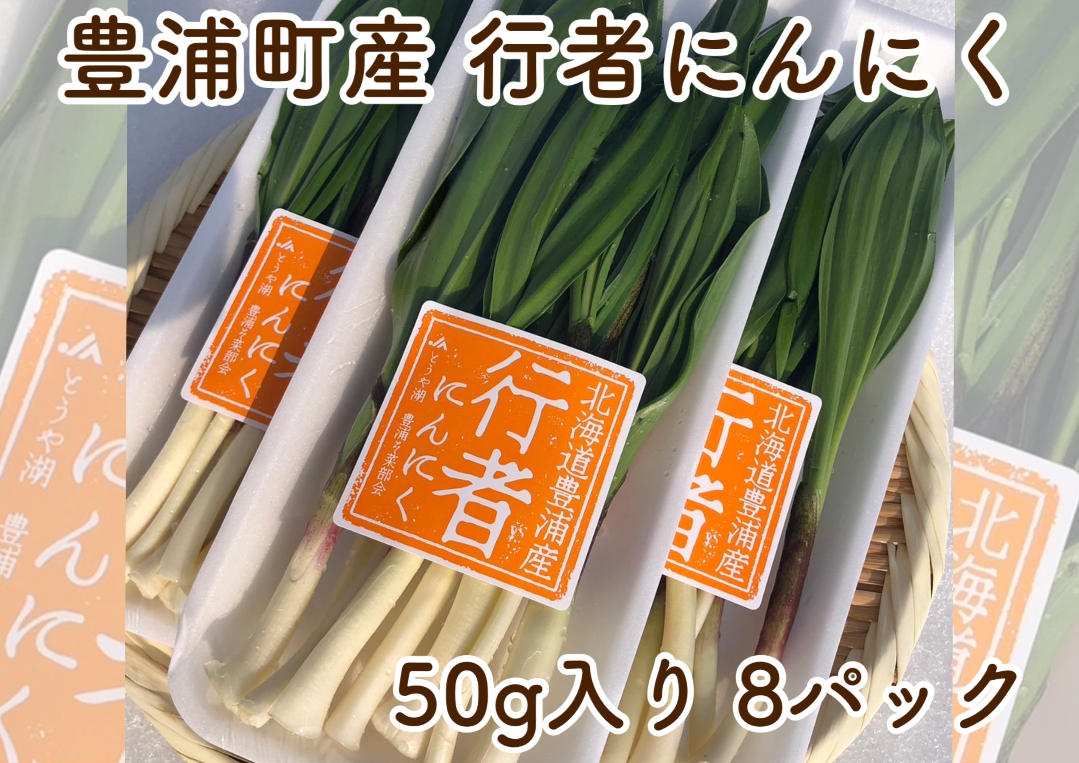 豊浦町産 行者にんにく（50g入り8パックセット）【たつんこファーム