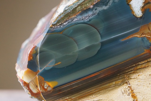 ブルーマウンテンジャスパー Jasper  ⑦