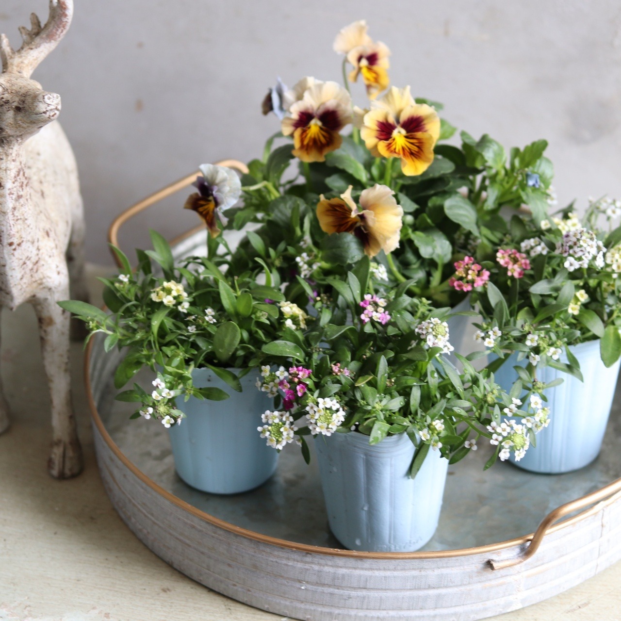 ホリムラウンドトレーS　アンティーク調　シャビーシック　オシャレ