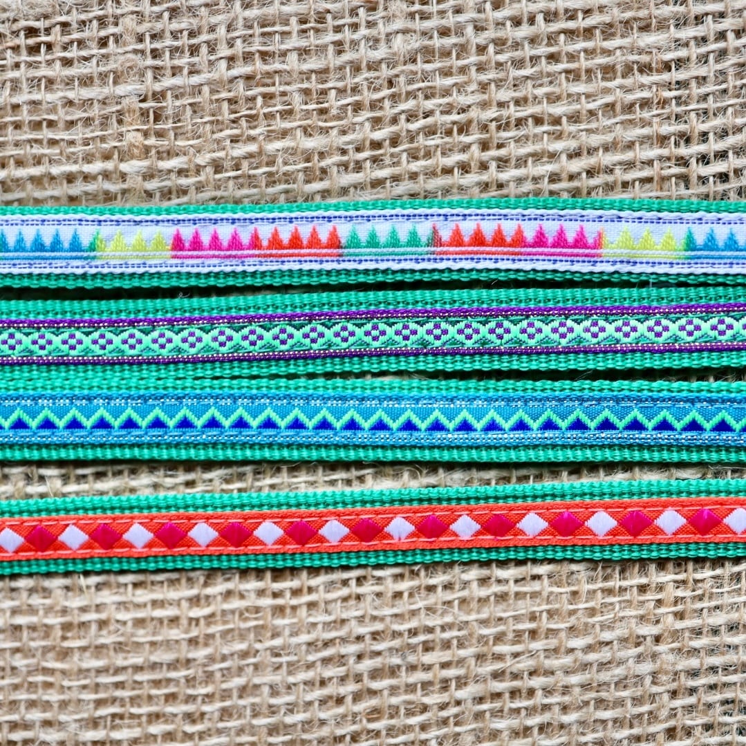 首輪&リード〈SSサイズ〉