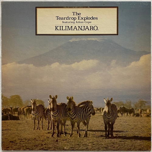 【LP】The Teardrop Explodes featuring Julian Cope  – Kilimanjaro