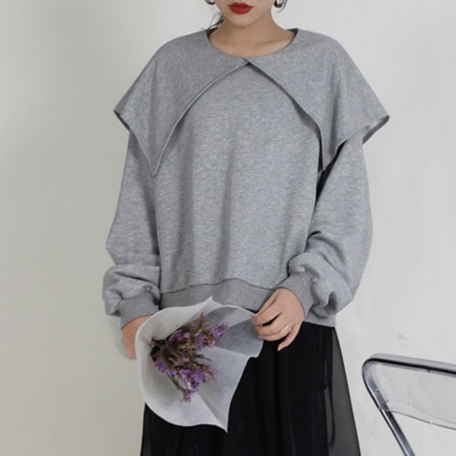 Big Collar Long Sleeve Sweatshirt 01047
