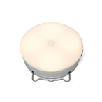 コストコ再販商品 【3セット】アイリスオーヤマ乾電池式ＬＥＤセンサーライト マルチタイプ 電球色