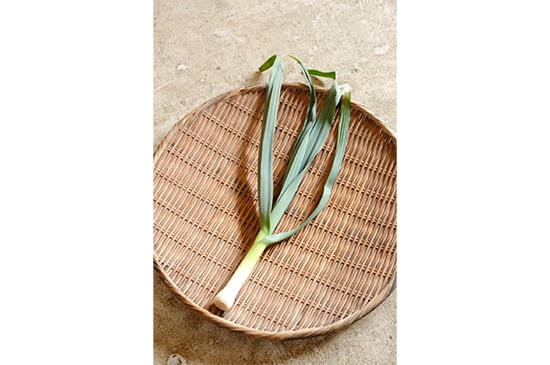 【若芽の優しい香り】葉にんにく・50g