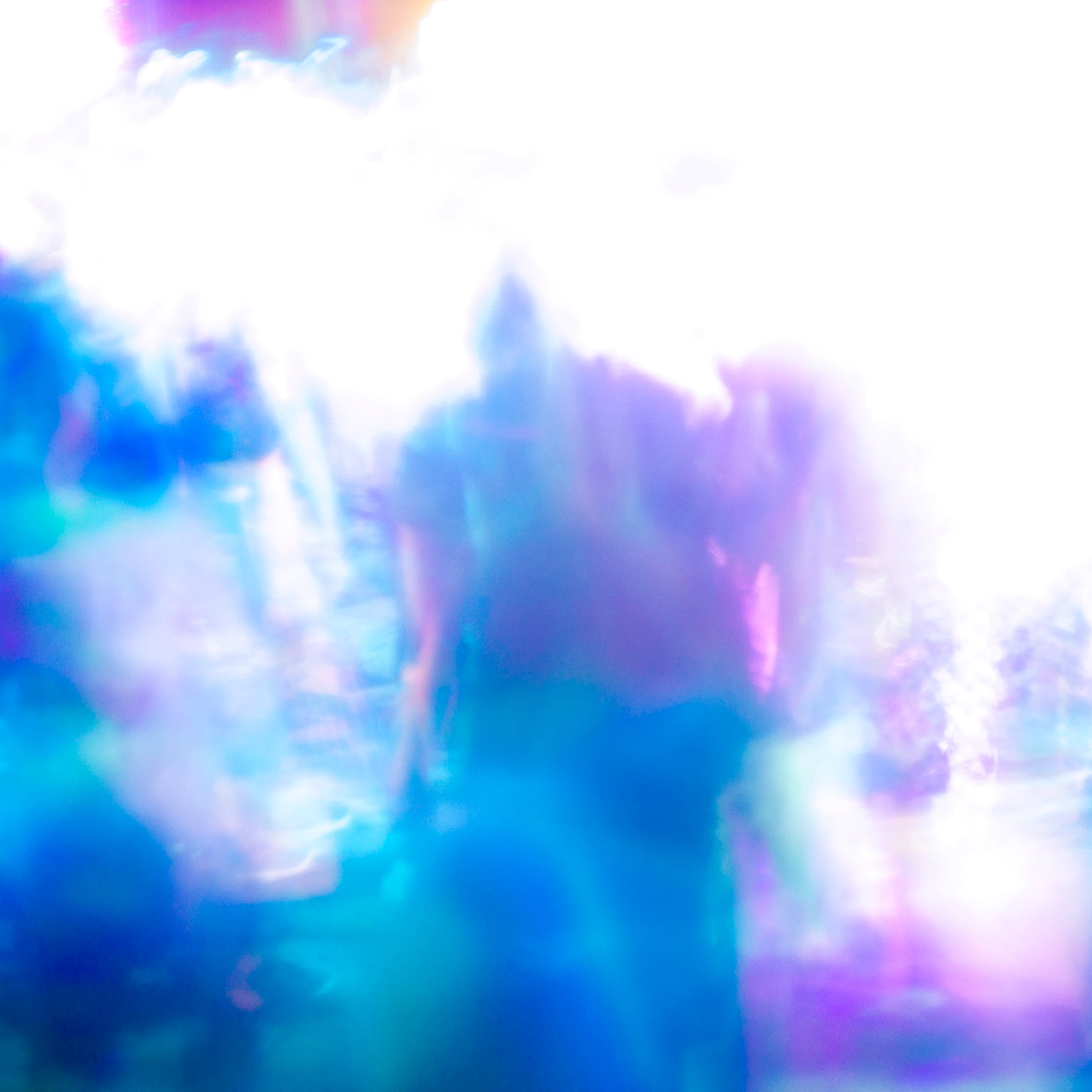 踊ってばかりの国 / PRISM（2LP）