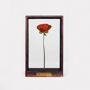 Botanical Frame D02 - Copper