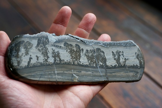 コタム・マーブル　Bristol Picture Stone ①