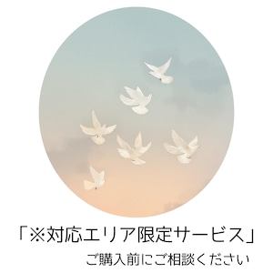 白い鳩 放鳥サービス 【葬儀・追悼】1セット(7羽)