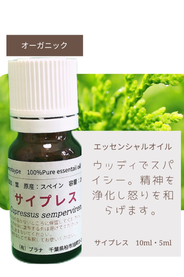 サイプレス（10ml）