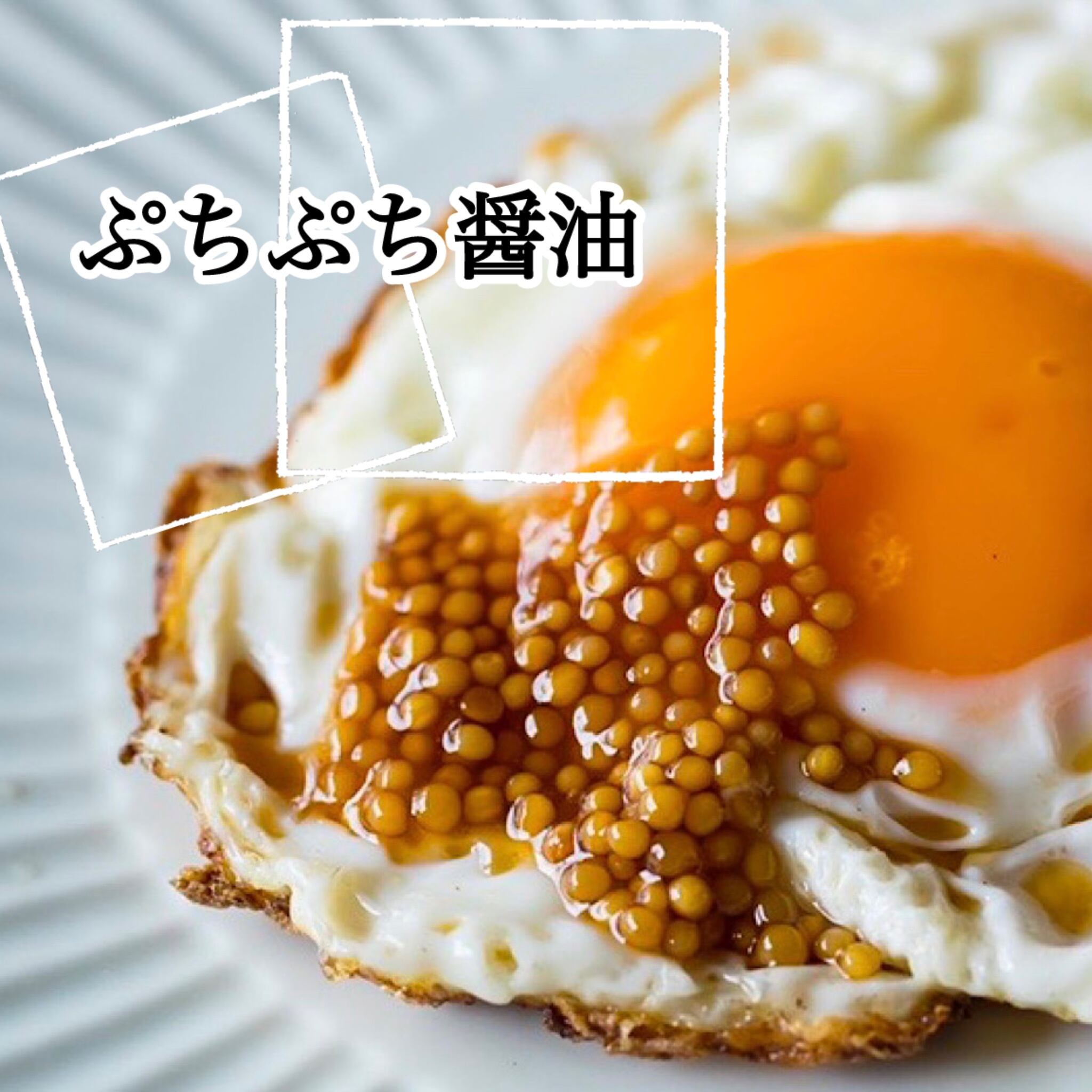 マスターネ。醤油味 500g 業務用(お徳用)送料無料❗️ | 南の風の