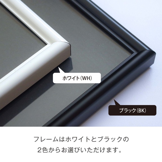 【海のいきものアートポスター／魚】テングカワハギ