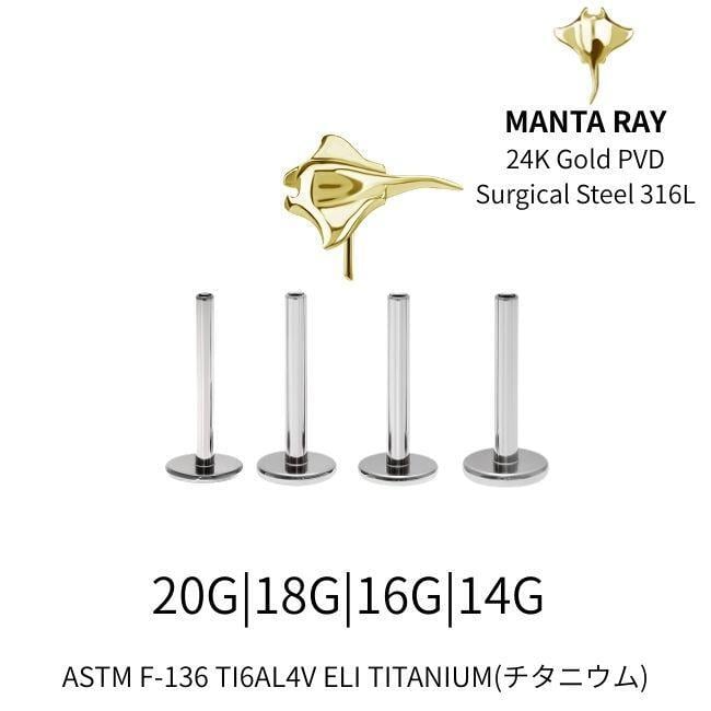 ボディピアス プッシュピアス 20G 18G 16G 14G 18G 16G 24Kゴールド
