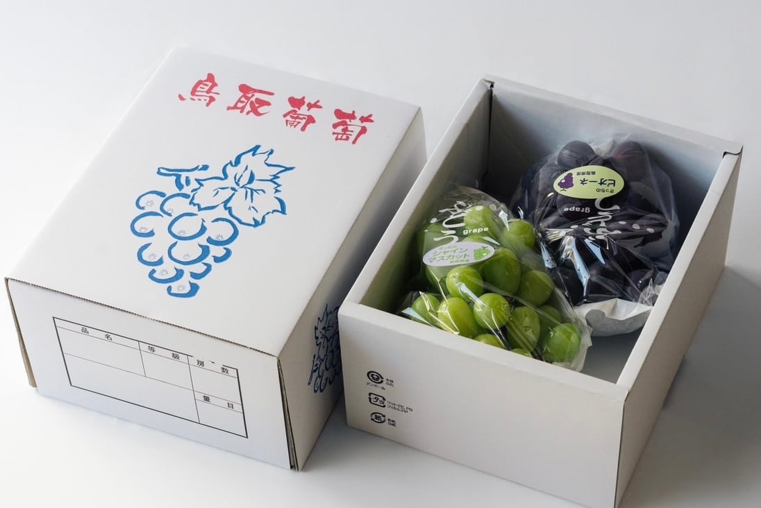 お試しにも！リンゴのようなフルーツ！！沖縄産インドナツメかわいい