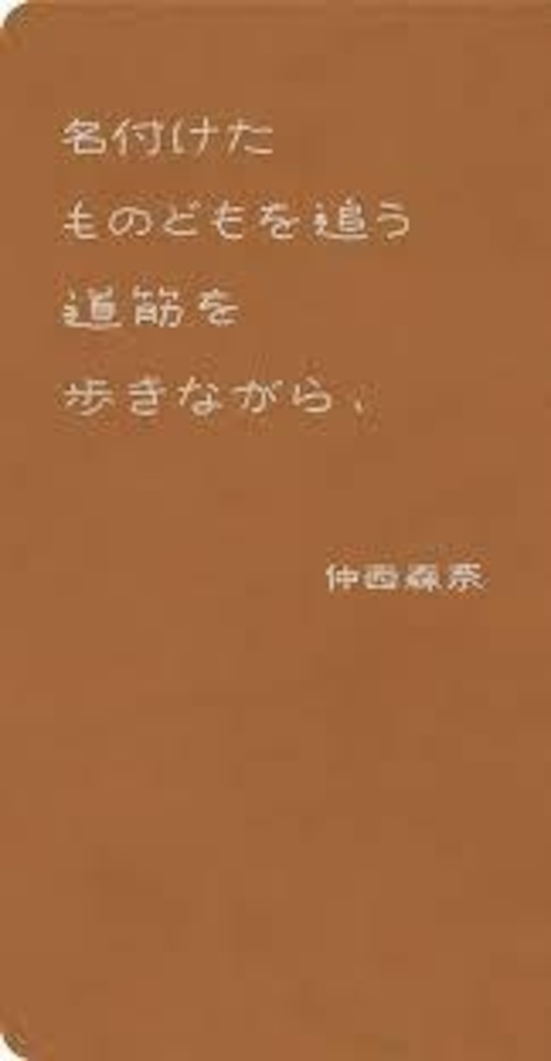 『名付けたものどもを追う道筋を歩きながら、』 仲西森奈