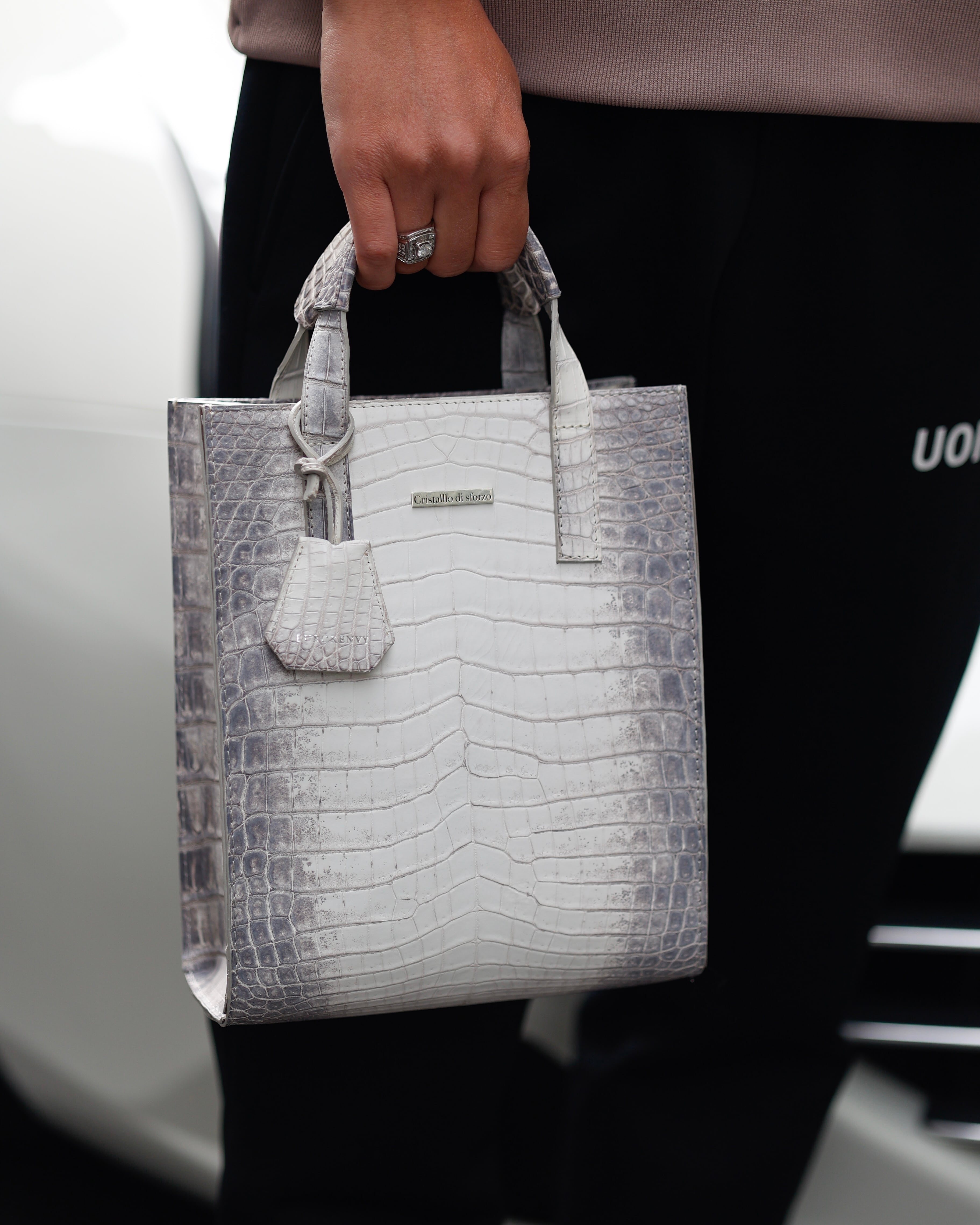 圧倒的高級感】Crocodile Porosus Mini Totebag【Himalaya