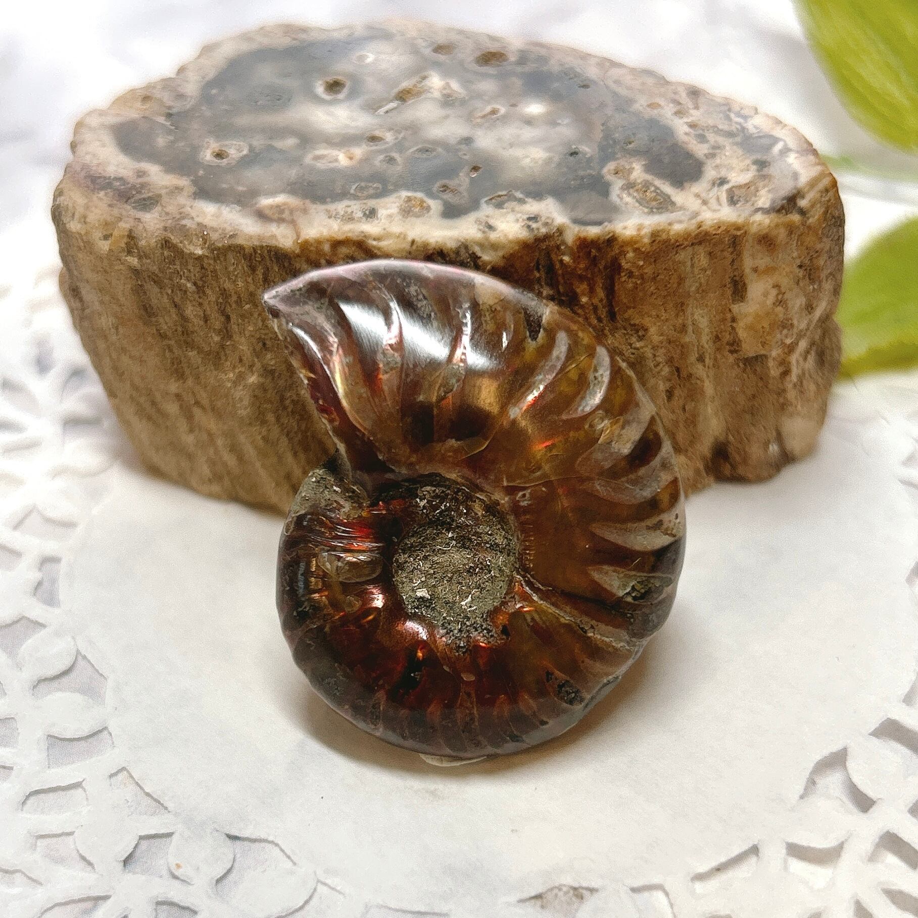 ピンクオパール　アンモナイト　握り石　貝　2 ピンクオパール アンモナイト 握り石 貝 2 ピンクオパール