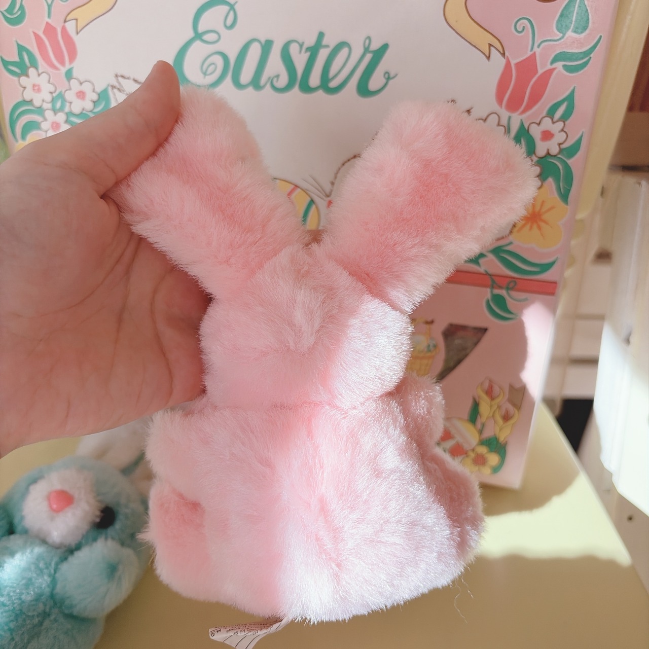 bunnysの画像08