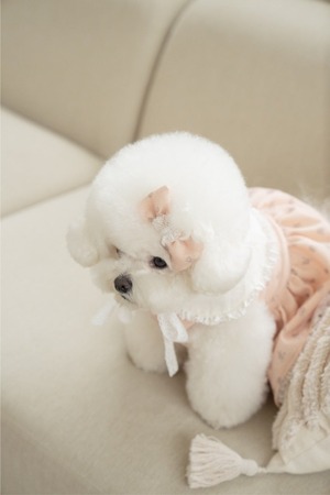 予約  【pecoramou select】Vintage rosé hairpin