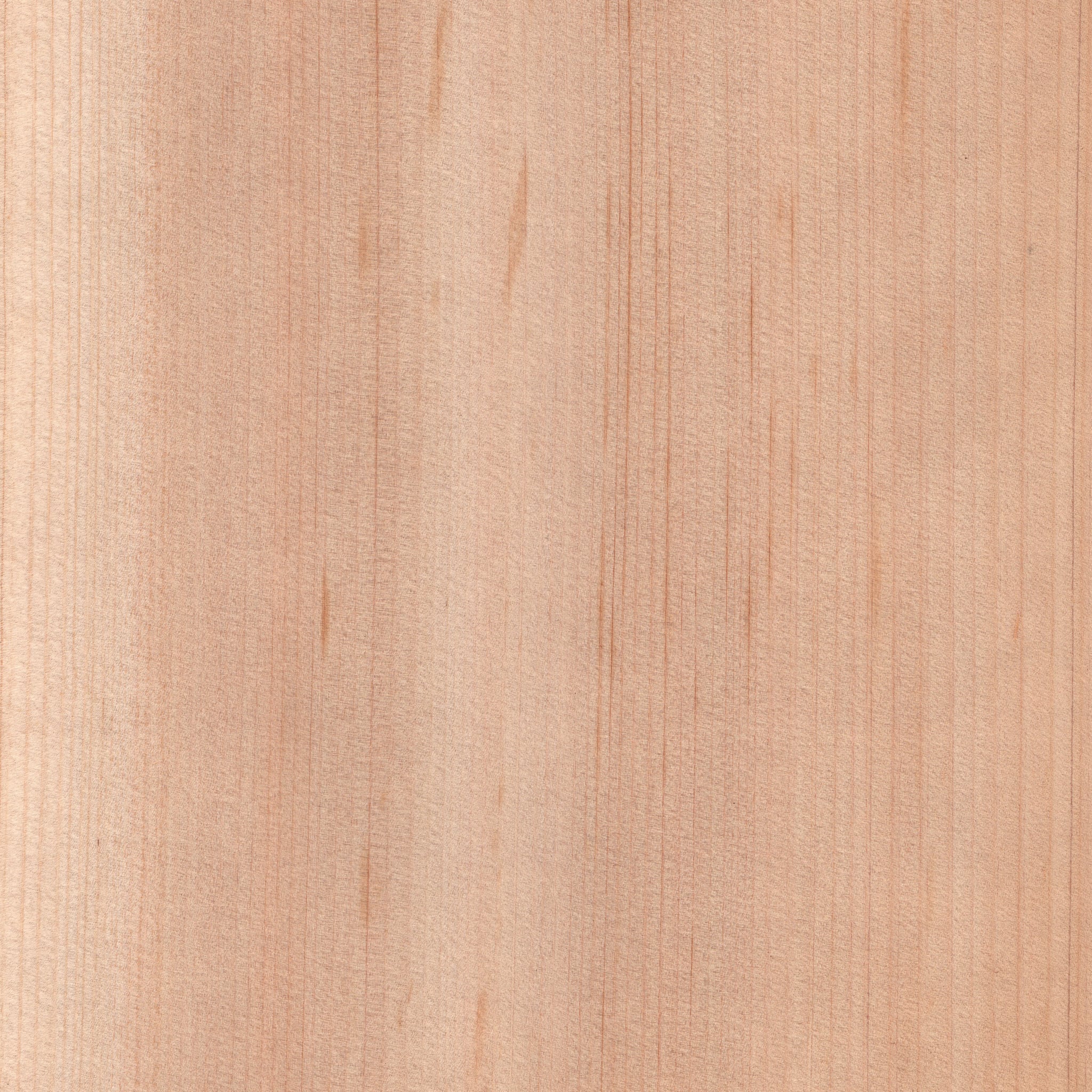 天然木ツキ板シート ヒノキ 薄色系 900mm×1800mm | poke