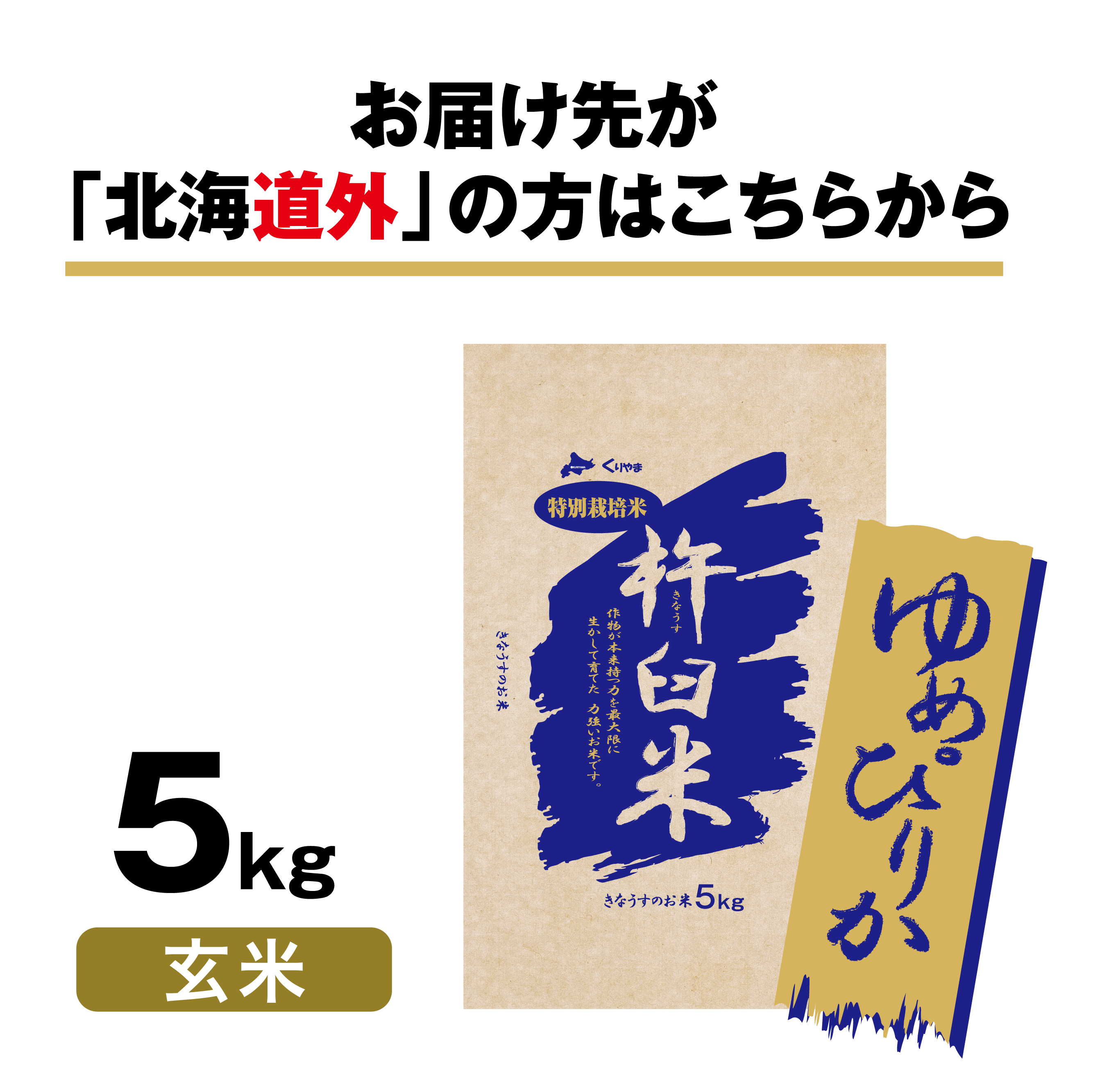 ゆめぴりか　特別栽培米　5kg（玄米）　北海道きなうすファーム　北海道栗山町きなうすファーム通販サイト