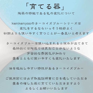 ターコイズブルーランチプレート（大）wb-7　和食器 大皿 モダン 個性的 変形 珍しい デザイン スタイリッシュ 窯元 ブランド パーティ カフェ  ターコイズ  ブルー 青 お皿 おしゃれ  カレー皿  パスタ皿 ギフト  お祝い  おうちカフェ