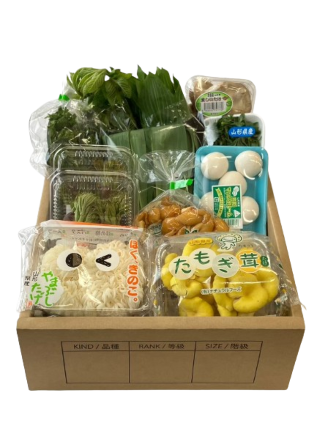【毎月届く定期便】野菜ソムリエ上級Proが毎月厳選‼ 山形の恵み定期便♪