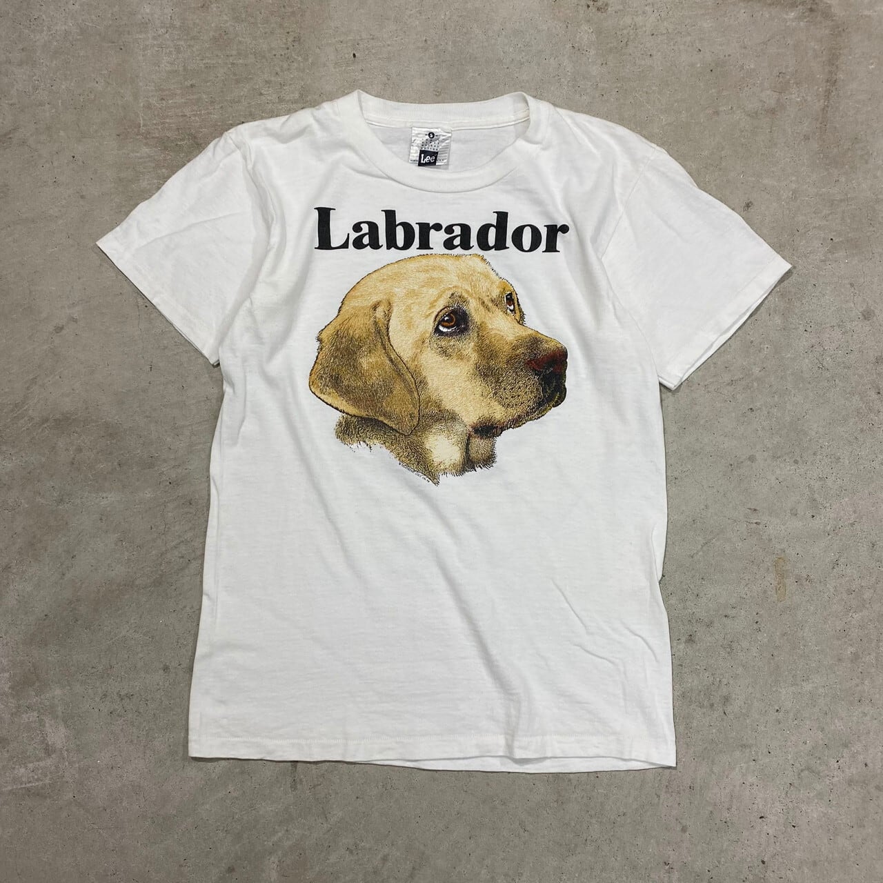 笑う犬の生活 当時物 Tシャツ ビンテージ フジテレビ 90s レア 昭和 宣伝