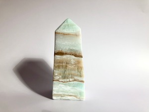 カリビアンカルサイトタワーNo.02