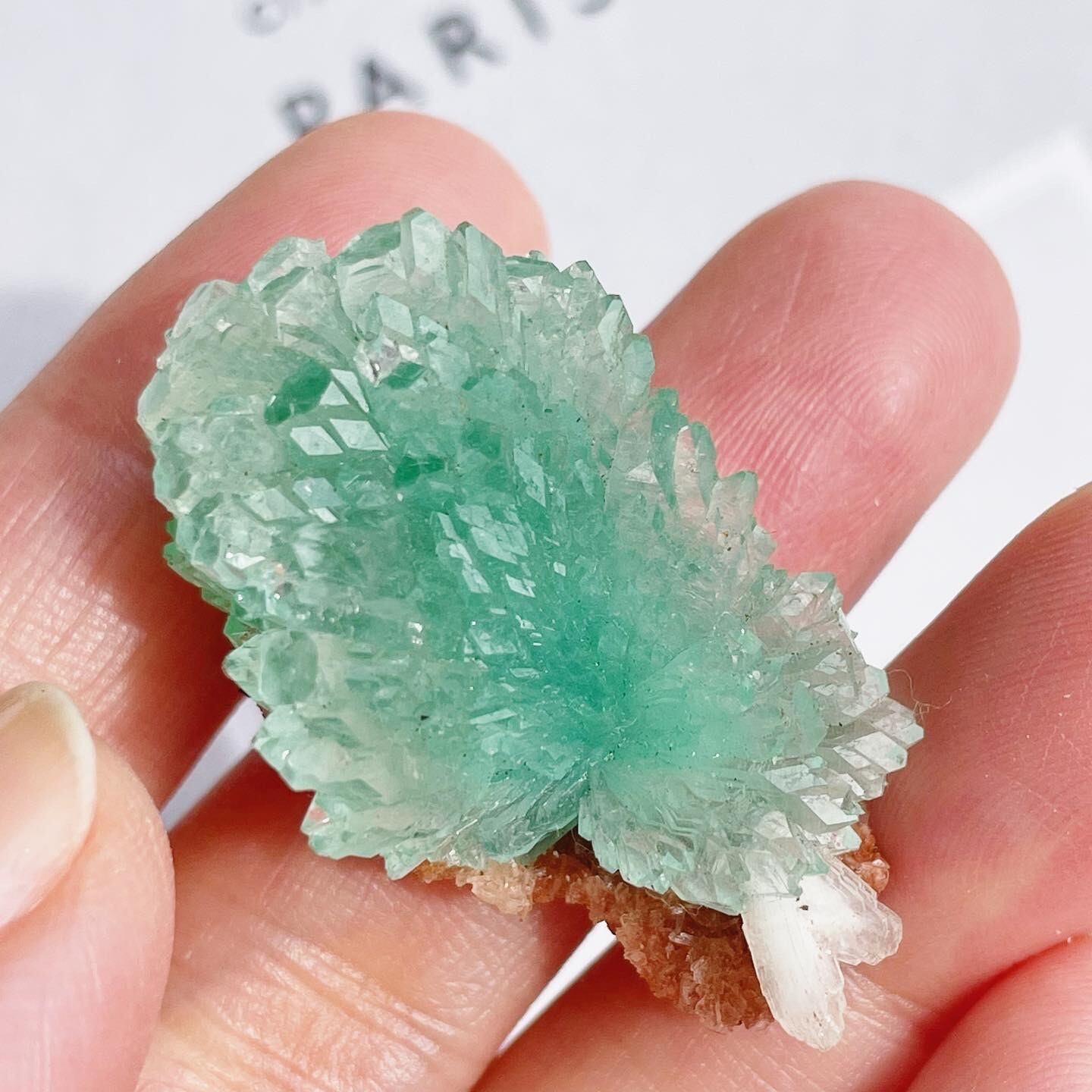 Flower Green Apophyllite 3 | FLUXY - 天然石と鉱物のお店 フラクシー