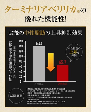 【定期購入】毎月お届け｜ターミナリアファイン premium 機能性表示食品 機能性関与成分、注目のスーパーフルーツ「ターミナリアベリリカ」 健康食品 脂肪 糖 血糖 血糖値 中性脂肪 ターミナリアベリリカ