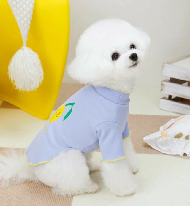 犬服  わんこ服　ペット服　犬用 春夏 ペット用品 BQ2686　XSサイズ