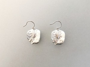 ユーカリの葉　ピアス　（シルバー）