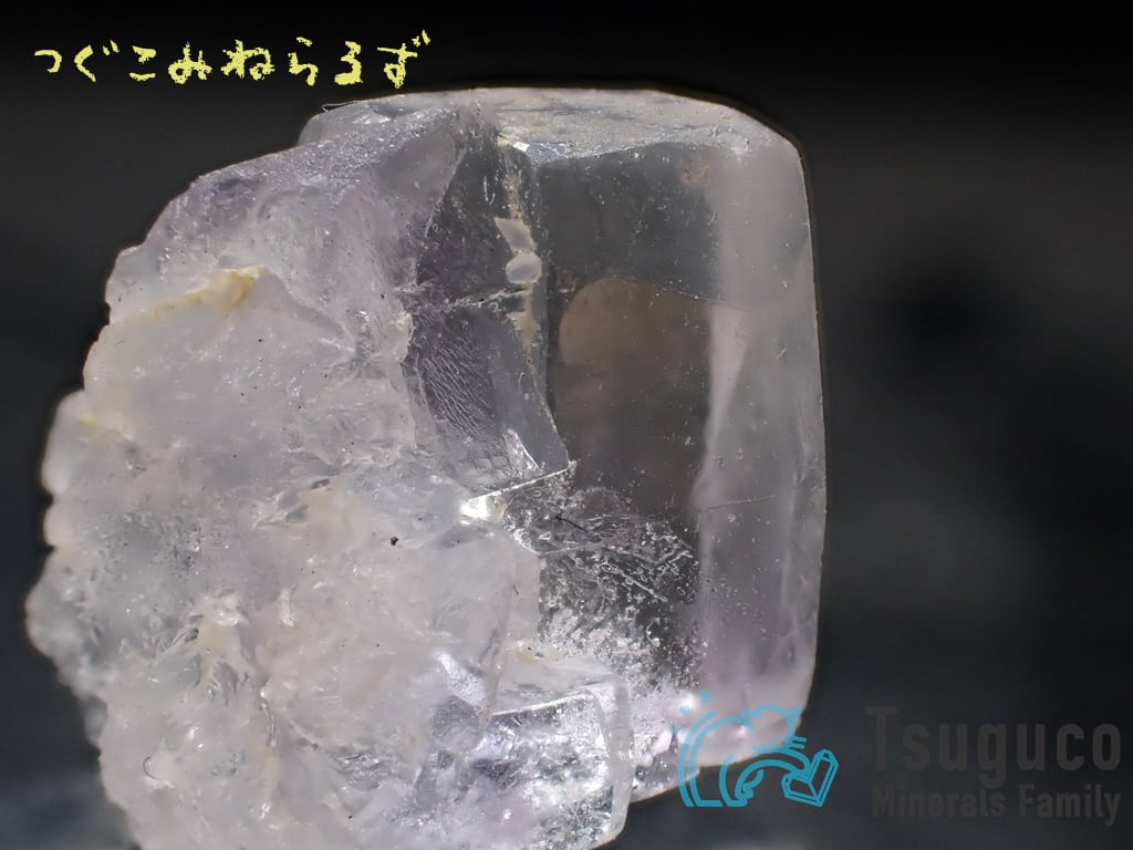 フローライト 蛍石 Fluorite スペイン TM-0049【レタパライト可】