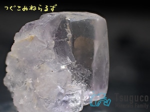 フローライト 蛍石 Fluorite スペイン TM-0049【レタパライト可】