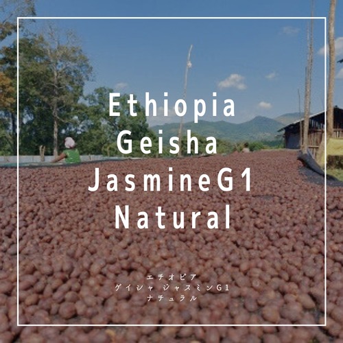 【200g】エチオピア ゲイシャ ジャスミン G1