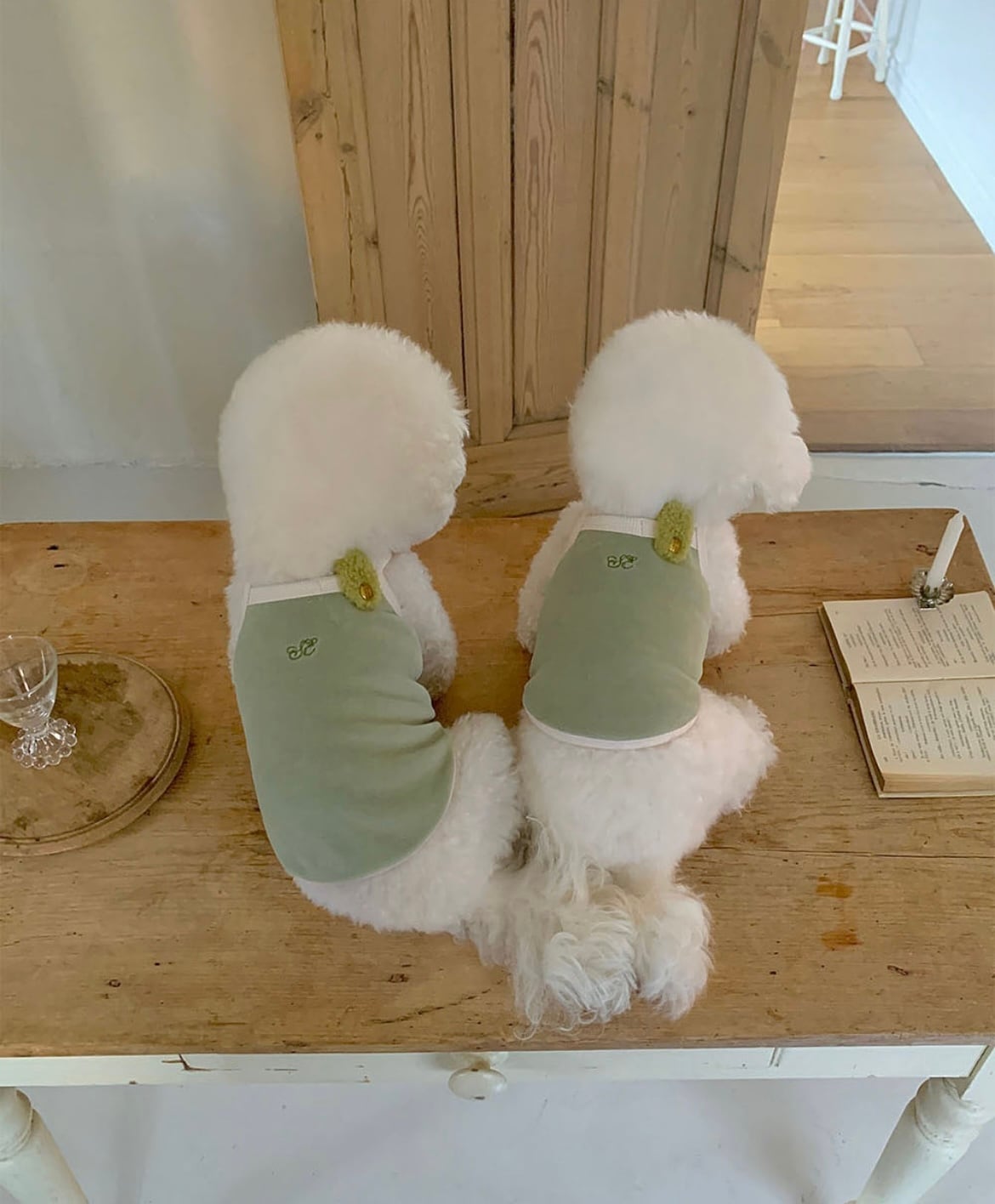 【seenii】senne top (olive)