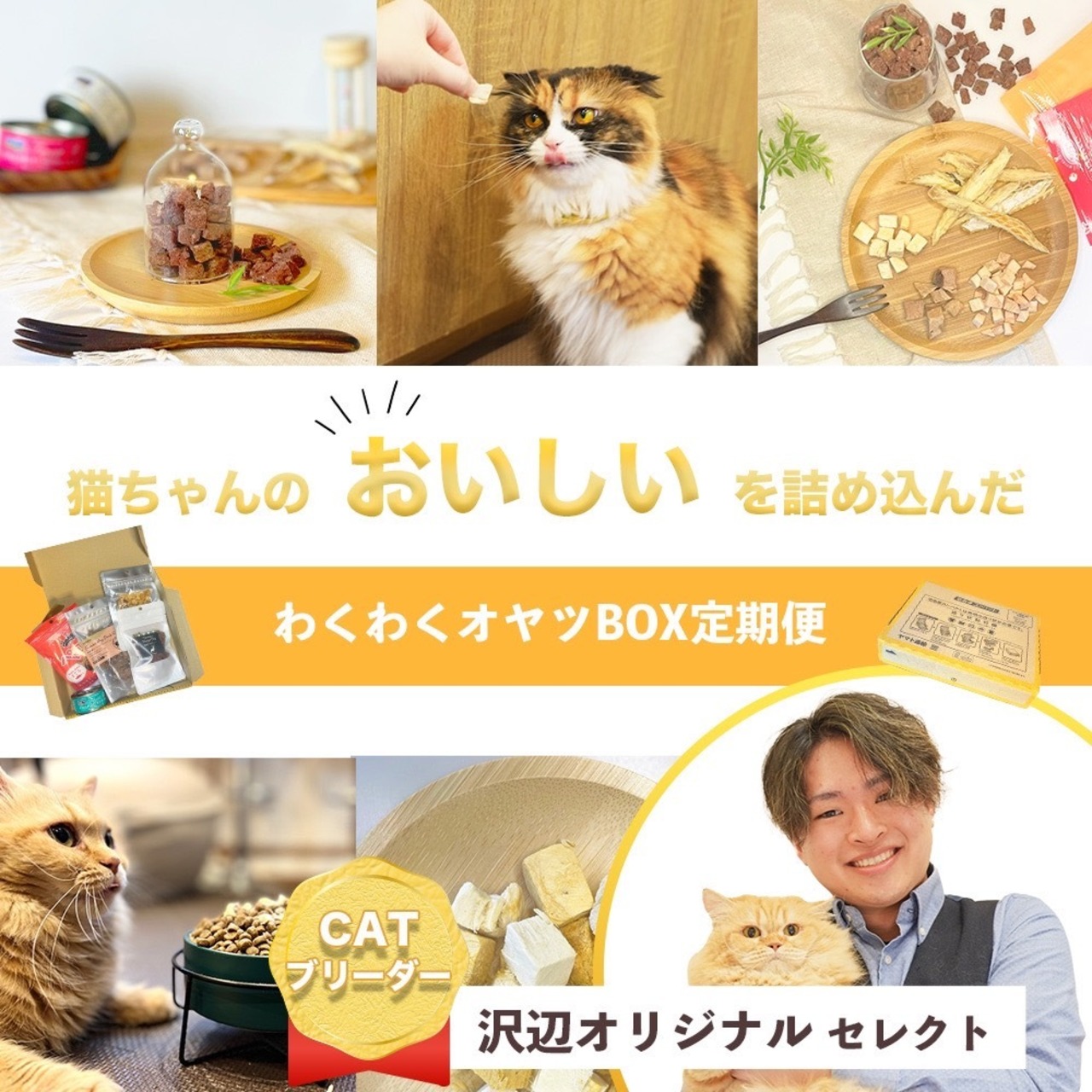 ねこデリ【２ヶ月毎にお届け！】毎月メニューが変わる！（お品書き付き！）猫のオヤツ定期便（ねこデリ）人気オヤツを厳選！