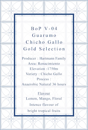 BoP V-04 Guarumo Coffee Farm Chicho Gallo Gold Selection