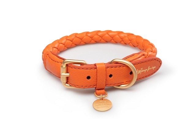【犬用首輪】Ferdinando - Braider Leather Collar - Tangerine orange