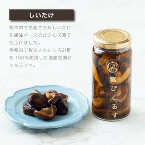 宮ぴくるす 無添加ピクルス 6種類セット｜栃木産野菜×老舗酢蔵仕込み おしゃれな贈り物にも