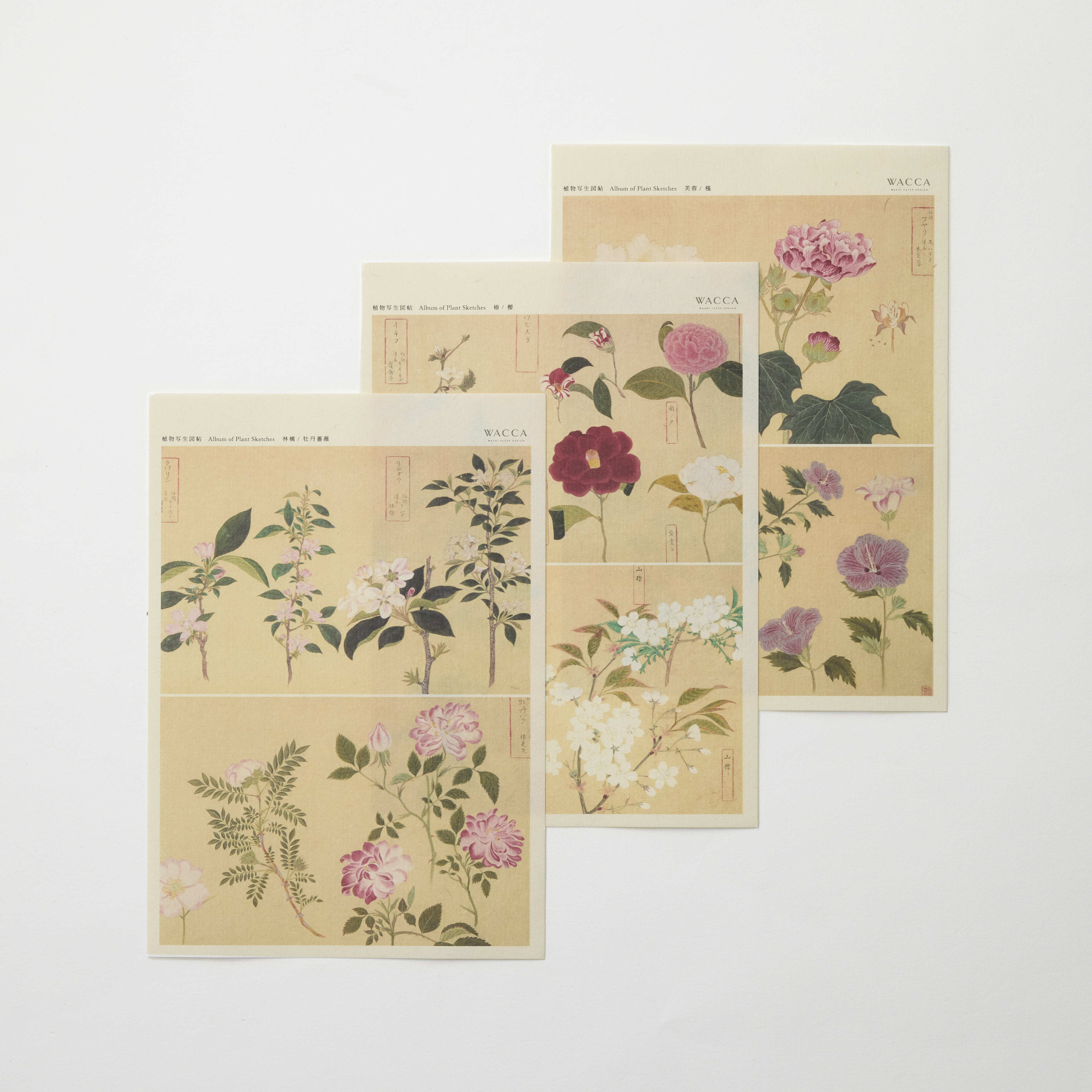 PS004 植物写生絵図帖 A5シート 3枚組