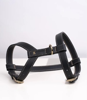 2.8 GABRIELE HARNESS  Shark　XS/S/M