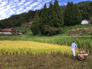 真菰麺 ＜特別栽培米・農薬化学肥料7割減＞ 10食