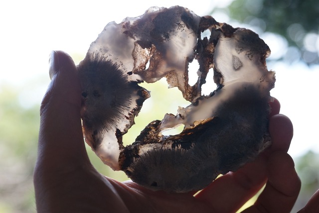 ルチルアゲート Rutilated Agate