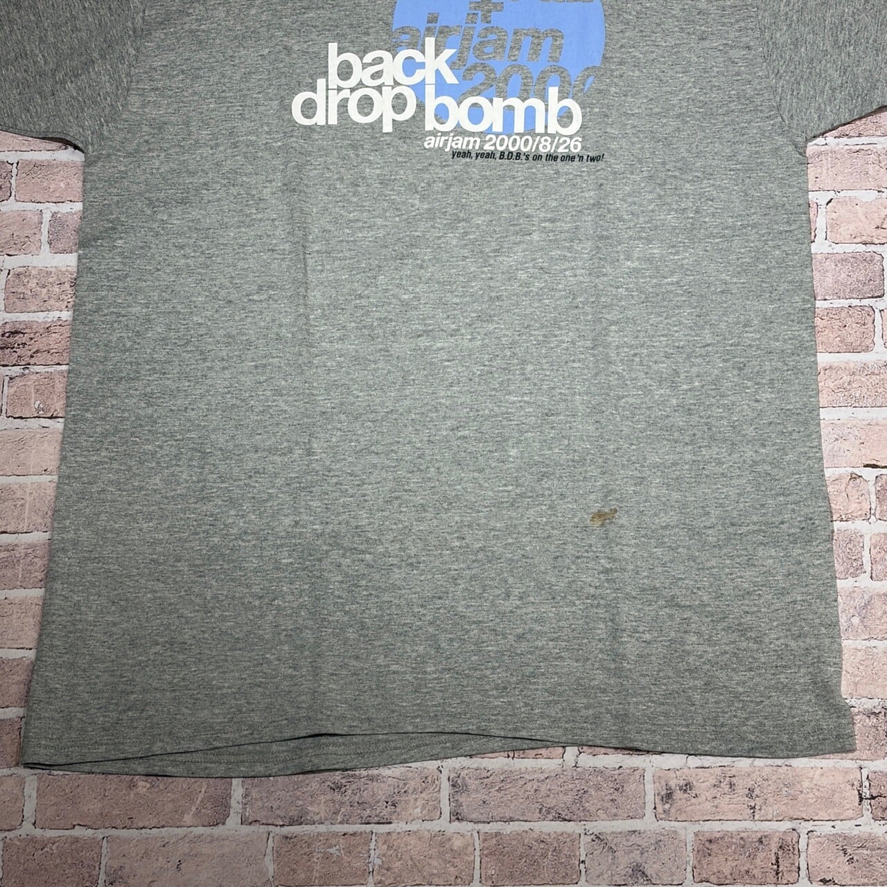 2000s BACK DROP BOMB T-SHIRT GRAY | safarionline