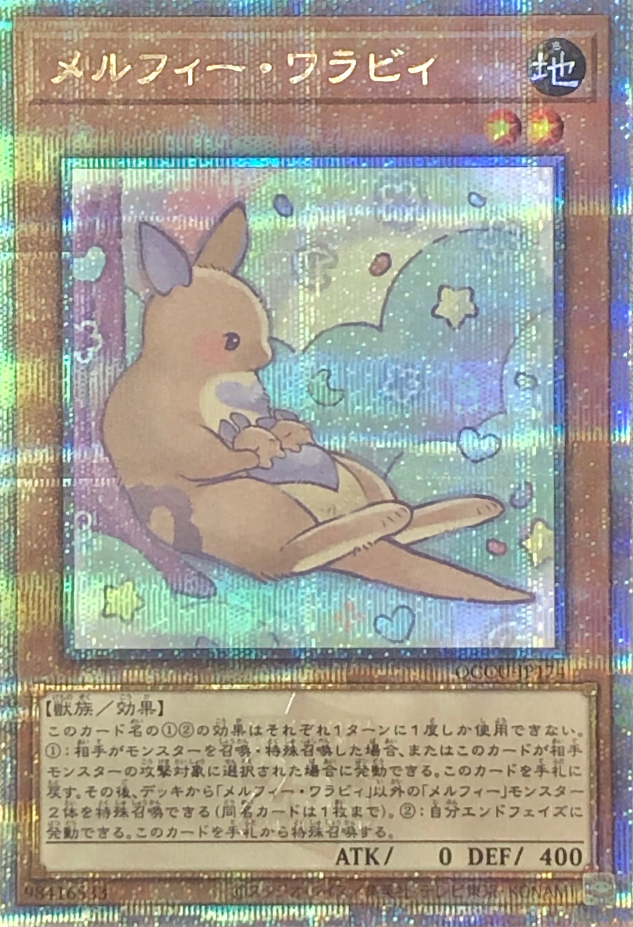 【Bランク】メルフィー・ワラビィ(25th)