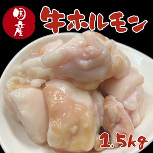 国産牛ホルモン　1.5kg