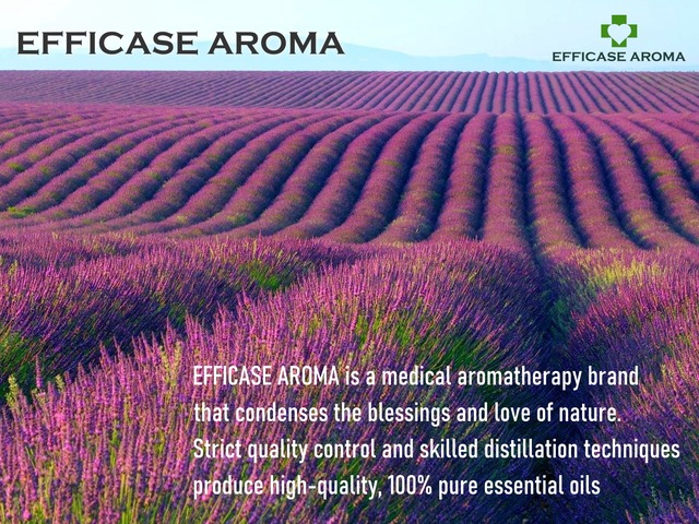 パチュリ (Pogostemon cablin) 5ml インドネシア産 アロマテラピー エッセンシャルオイル 精油 EFFICASE AROMA エフィカス