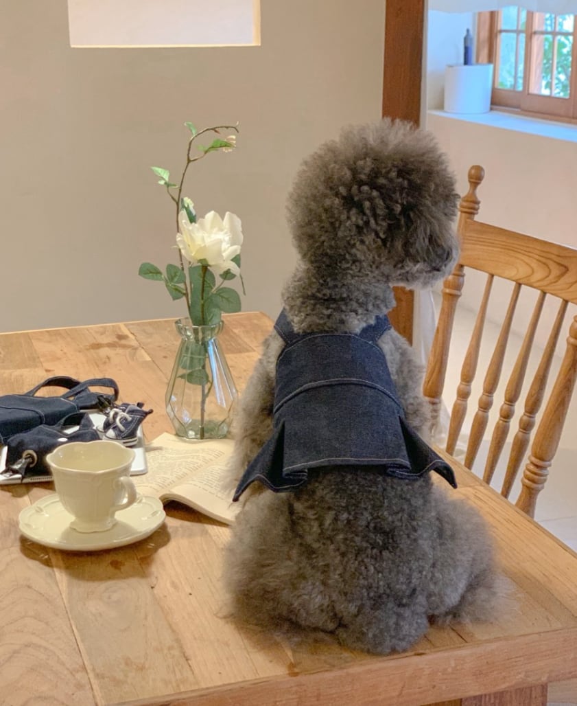 予約【ROMUAH】Denim Dress