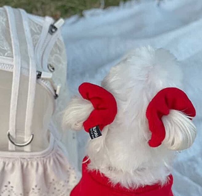 予約【buyalldog】Dear scrunchie ※単品購入不可